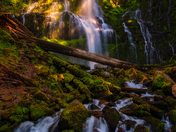 Willamette National Forest