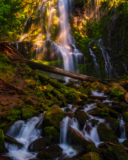 Willamette National Forest