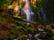 Willamette National Forest