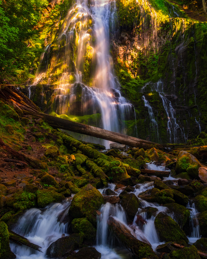 Willamette National Forest