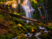 Willamette National Forest