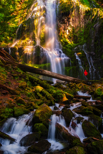 Willamette National Forest
