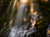 Willamette National Forest