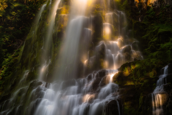 Willamette National Forest