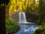 Willamette National Forest