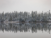 Reflections at Cobbs Pond