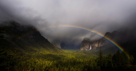 Yosemite National Park