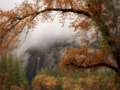 Yosemite National Park