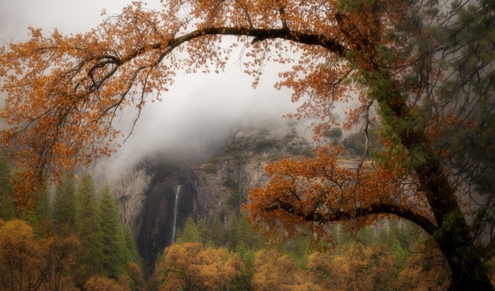 Yosemite National Park