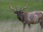 Rocky Mountain National Park