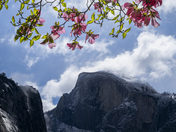 Yosemite National Park