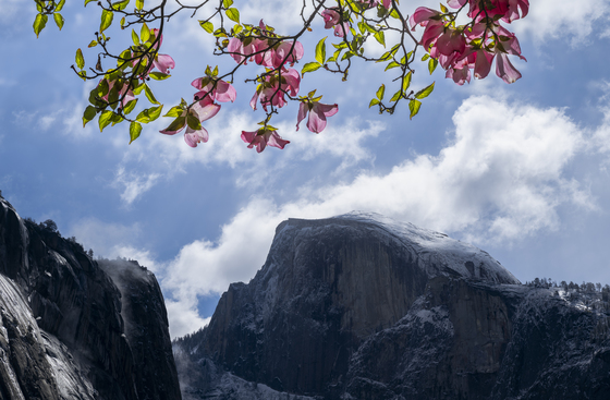 Yosemite National Park