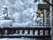 Yosemite National Park