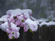 Yosemite National Park