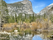 Yosemite National Park