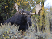 Grand Teton National Park