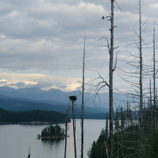 Glacier National Park