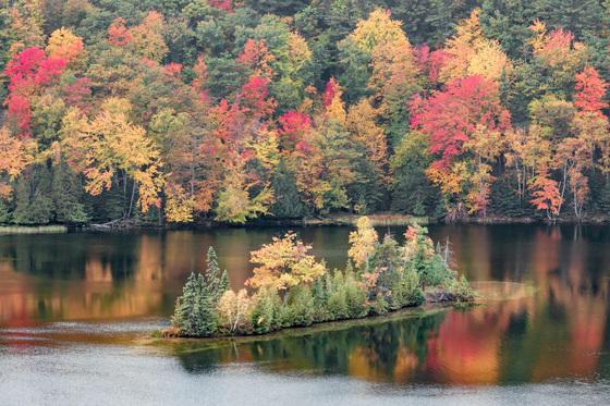 Huron National Forest