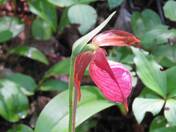 Isle Royale National Park
