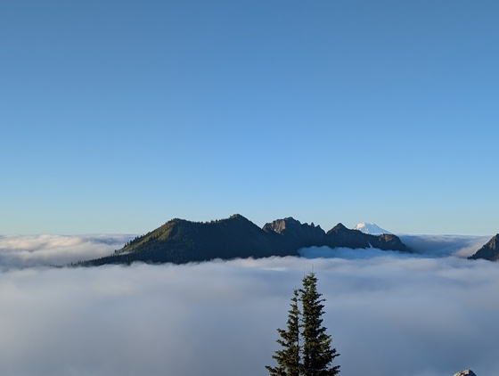 Mount Rainier National Park