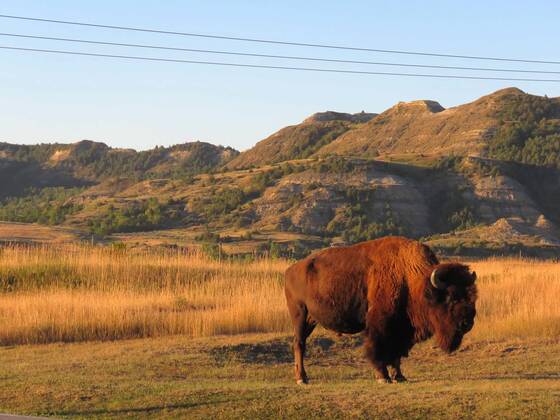 Theodore Roosevelt National Park 