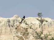Badlands National Park