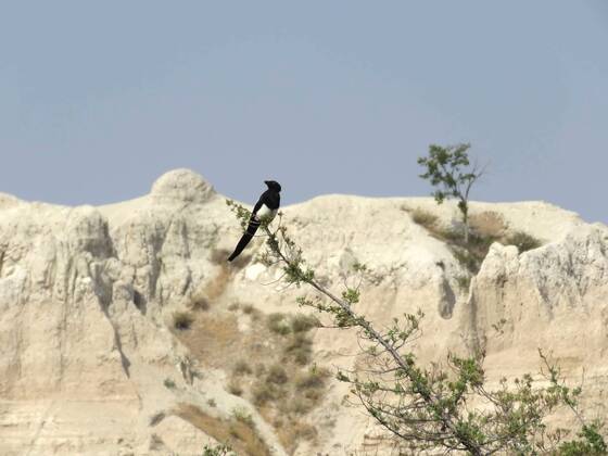 Badlands National Park