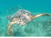 Virgin Islands National Park