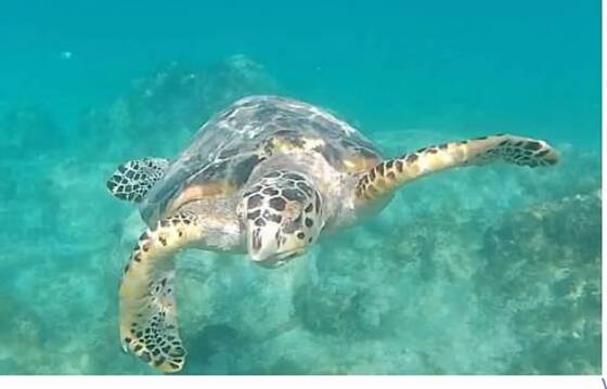 Virgin Islands National Park
