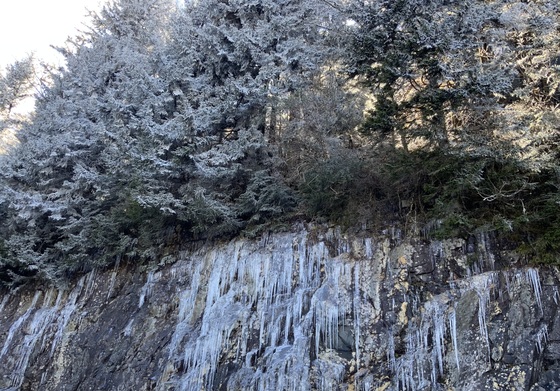 Smoky Mountain National Park 