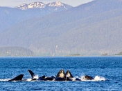 Glacier Bay National Park
