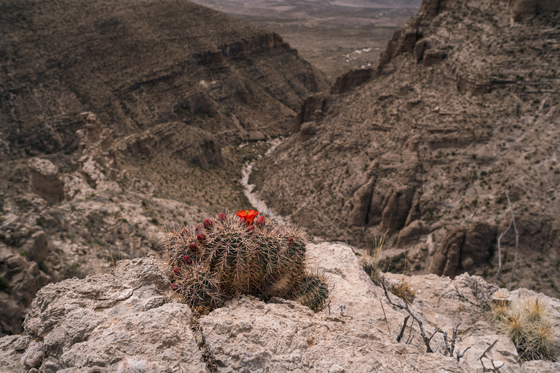 Guadalupe Mountains National Park