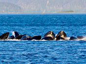 Glacier Bay National Park