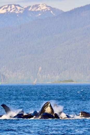 Glacier Bay National Park