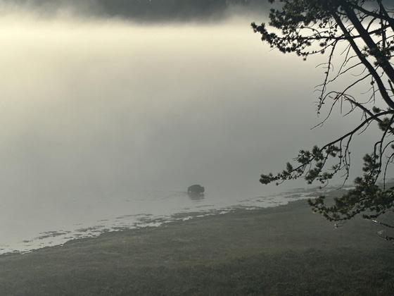 Yellowstone National Park