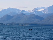 Glacier Bay National Park