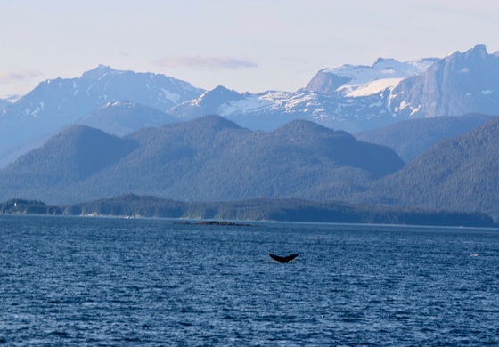 Glacier Bay National Park