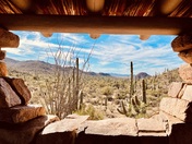 Saguaro National Park - Tucson Mountain District