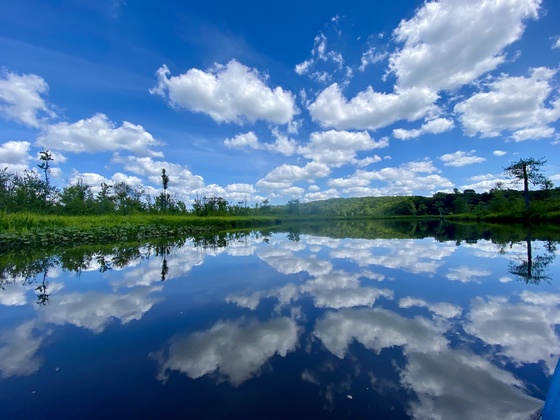 Menokin Bay - Warsaw, VA