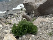 Crater Lake National Park
