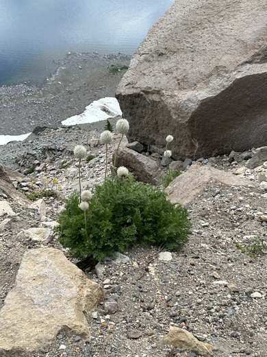 Crater Lake National Park