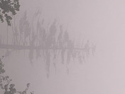 Great Smoky Mountains Kuwohi