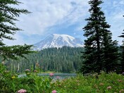 Mount Rainier National Park