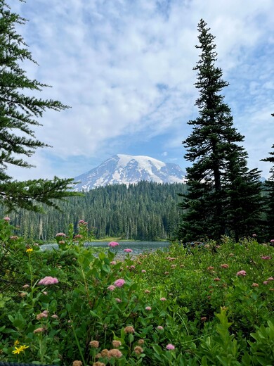 Mount Rainier National Park