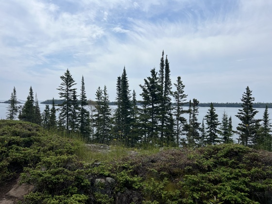 Isle Royale