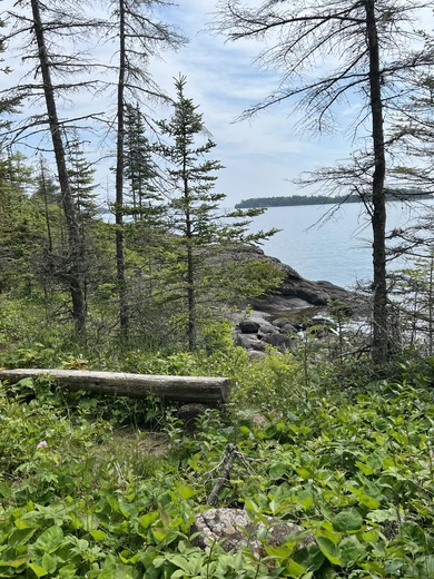 Isle Royale