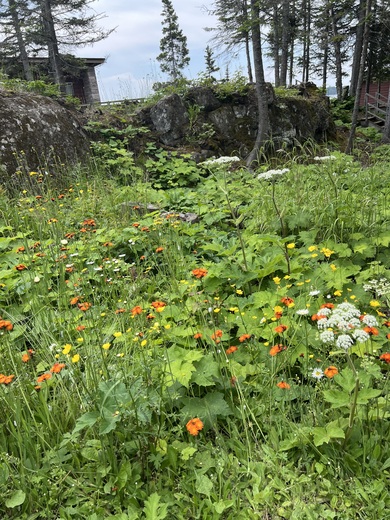 Isle Royale