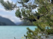 North Cascades National Park