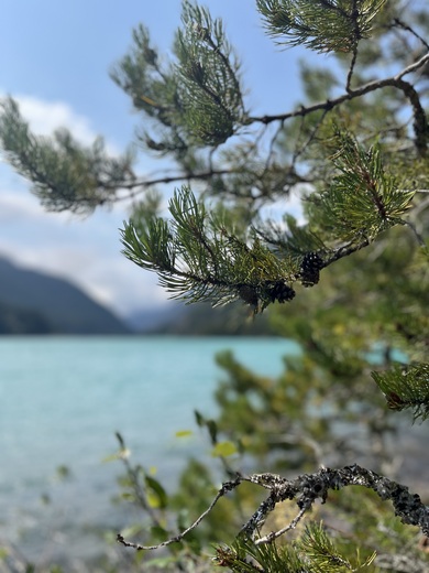 North Cascades National Park