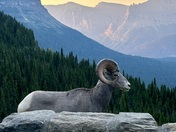 Glacier National Park